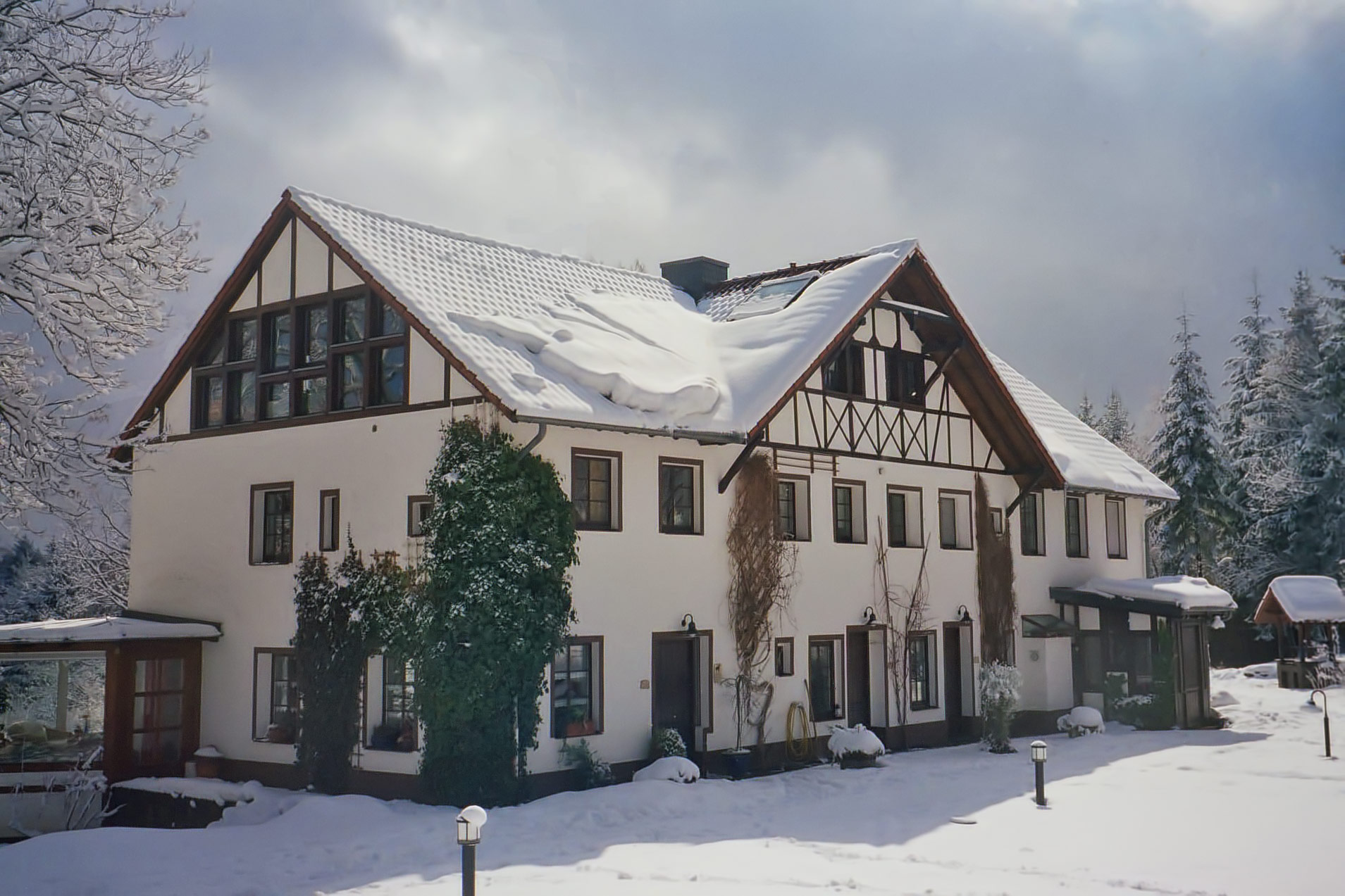 Waldquartier im Schnee