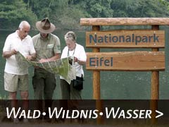 Nationalpark Eifel