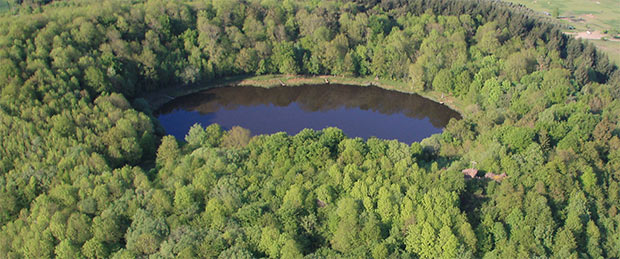 Mare in der Vulkaneifel