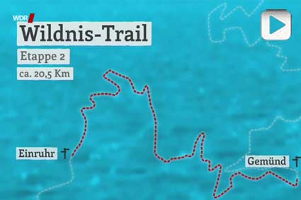 Wildnis-Trail