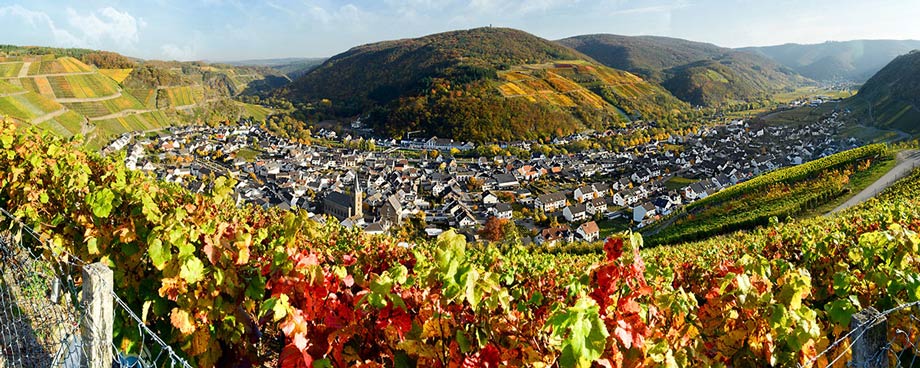 Dernau Panorama