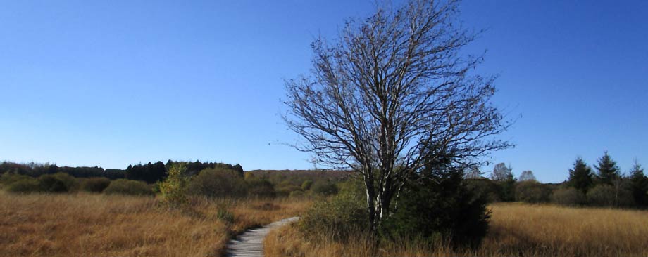 Mützenich Panorama