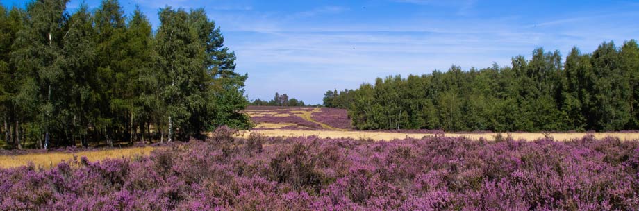 Schavener Heide Panorama