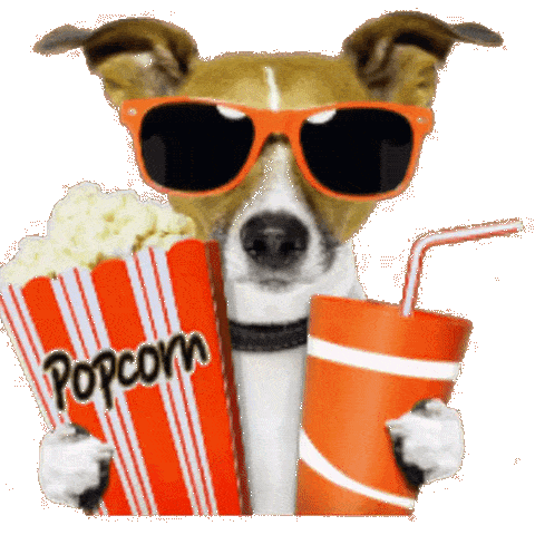 Kino Hund