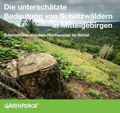 Greenpeace