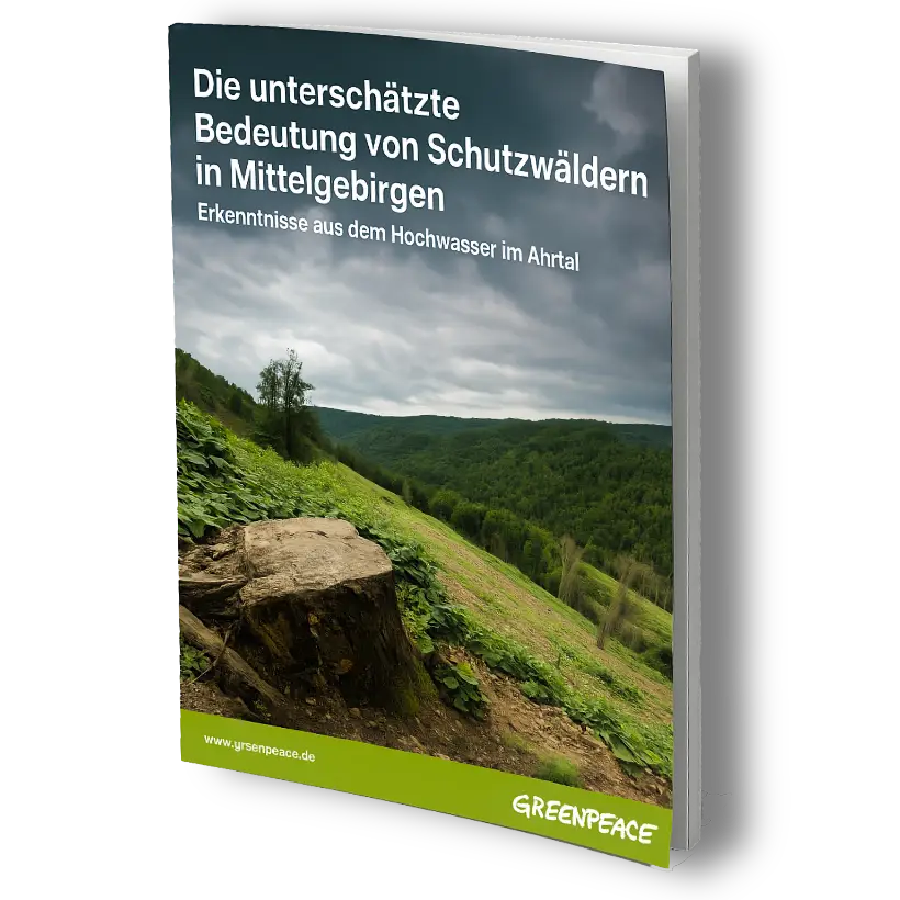 Schutzwälder